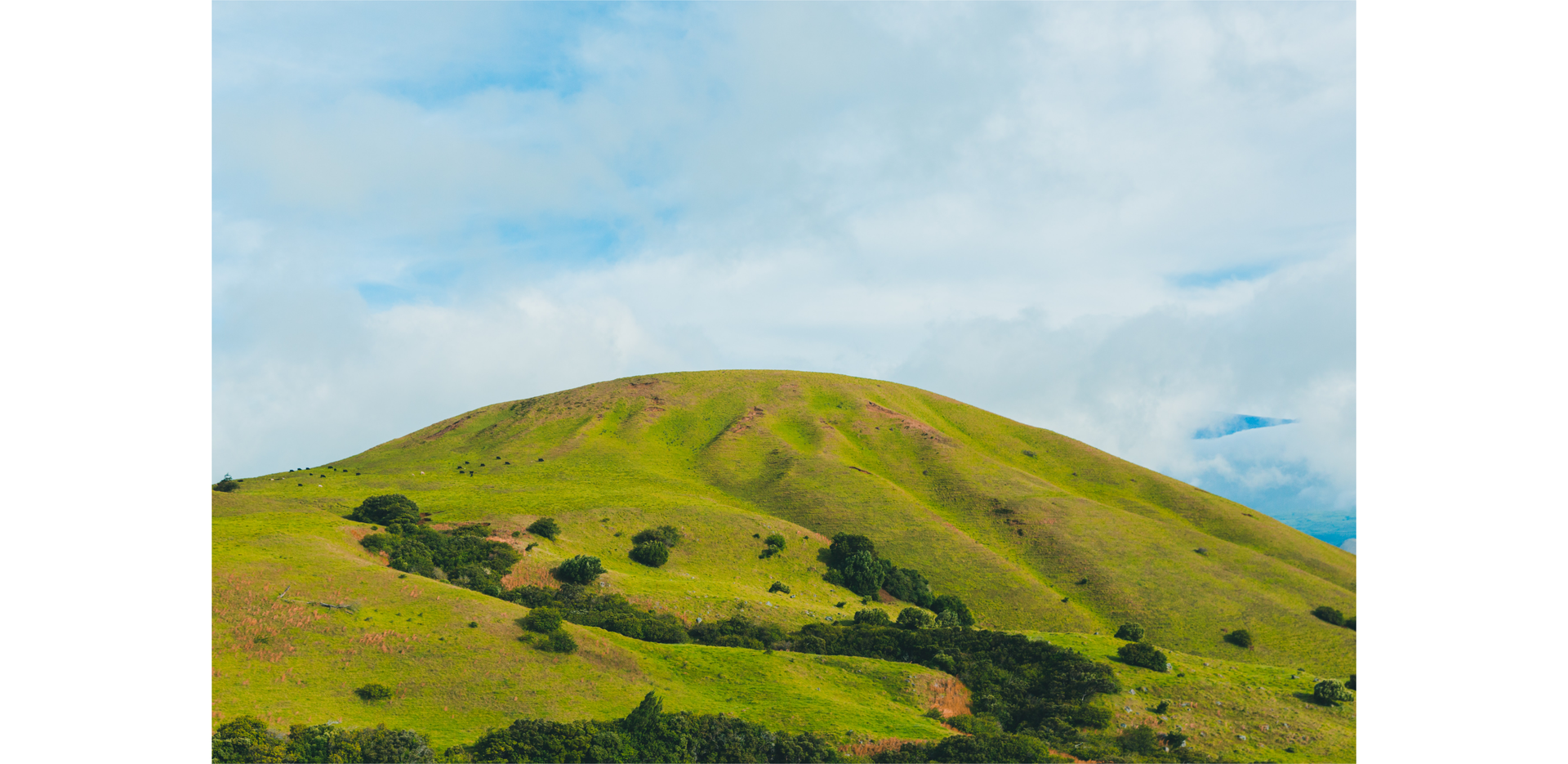 Zdjęcie przedstawia wzgórze.