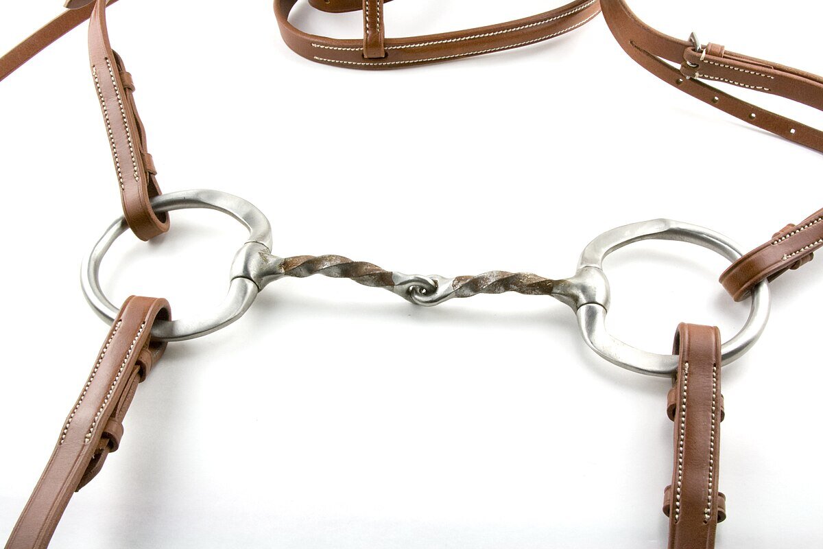 Zdjęcie przedstawia wędzidło z oposażeniem. Składa się z dwóch metalowych kółek złączonych spiralnym elementem. Oposażenie wykonane jest ze skórzanych pasków. Szczegółowy opis uzupełniający zdjęcie znajduje się w treści definicji.