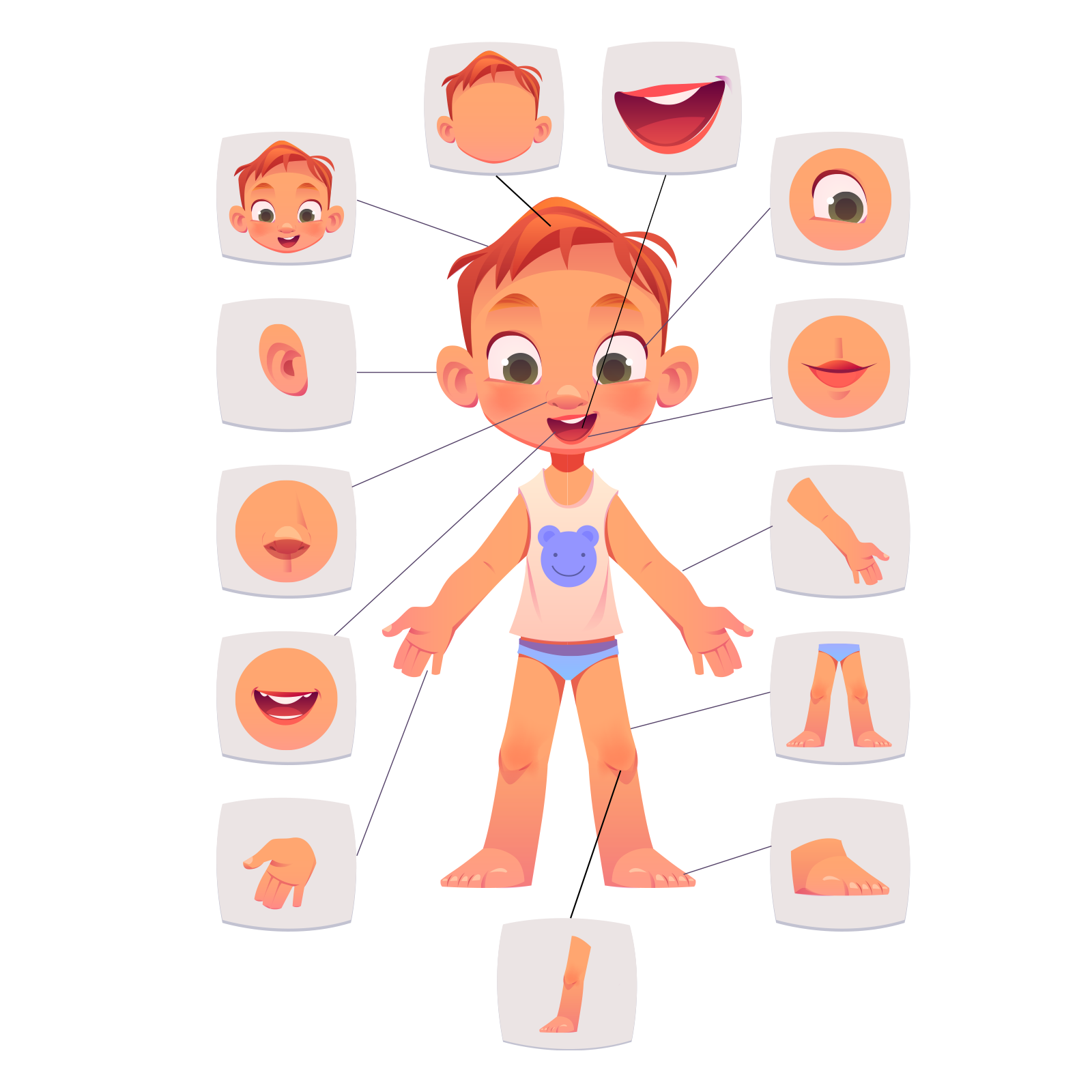 Grafika przedstawia stojącego małego chłopca, ubranego w kremową koszulkę na szerokich ramiączka z niebieskim misiem pośrodku oraz w niebieskie majtki. Chłopiec stoi w rozkroku i ma ręce rozłożone na boki. Z każdej strony jego ciała odchodzą na boki strzałki, na końcu których widoczne są grafiki przedstawiające powiększenia różnych części ciała. Pokazane na grafikach części ciała to: dłoń, usta, nos, ucho, twarz, głowa, otwarte usta, oko, wargi, ręka, nogi, kolano i stopa.
