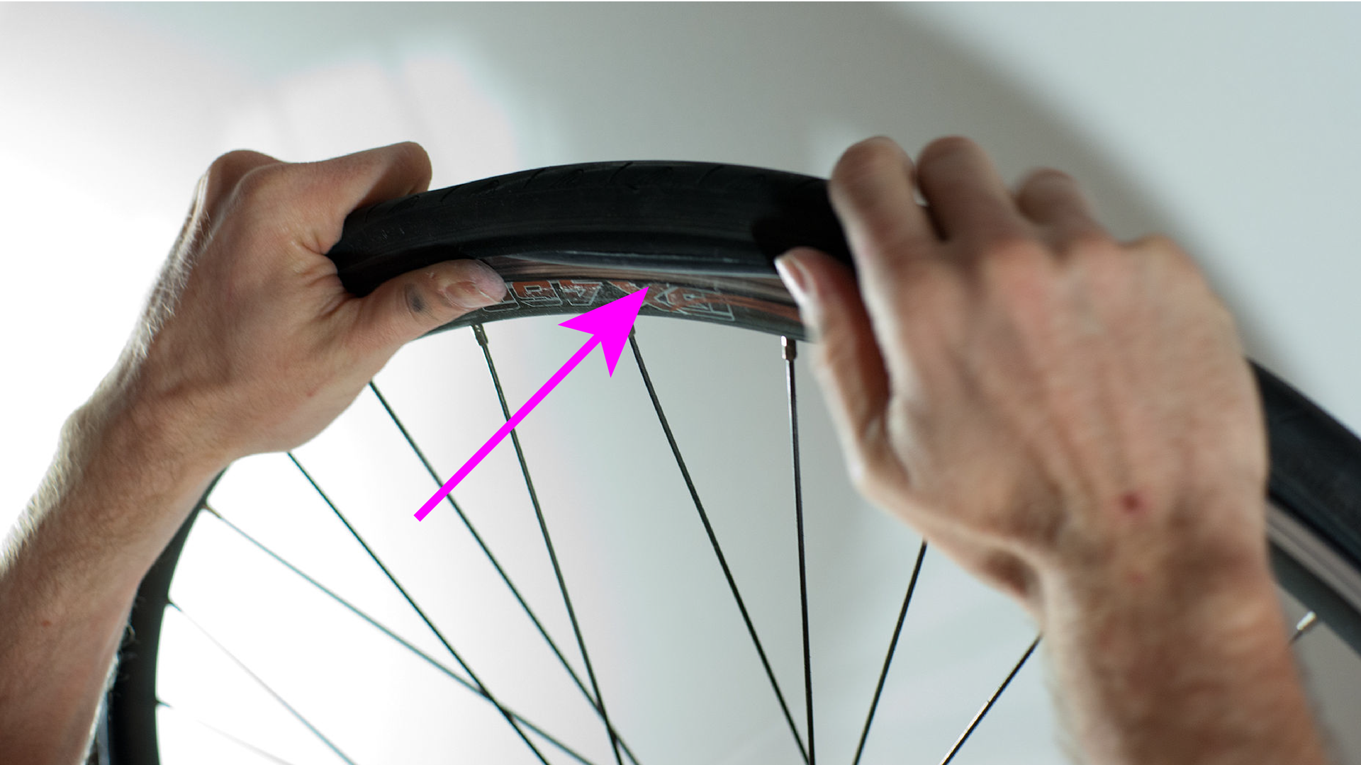 Zdjęcie przedstawia zbliżenie na koło rowerowe, które ktoś trzyma w rękach. Na zdjęciu znajduje się strzałka skierowana na dętkę.