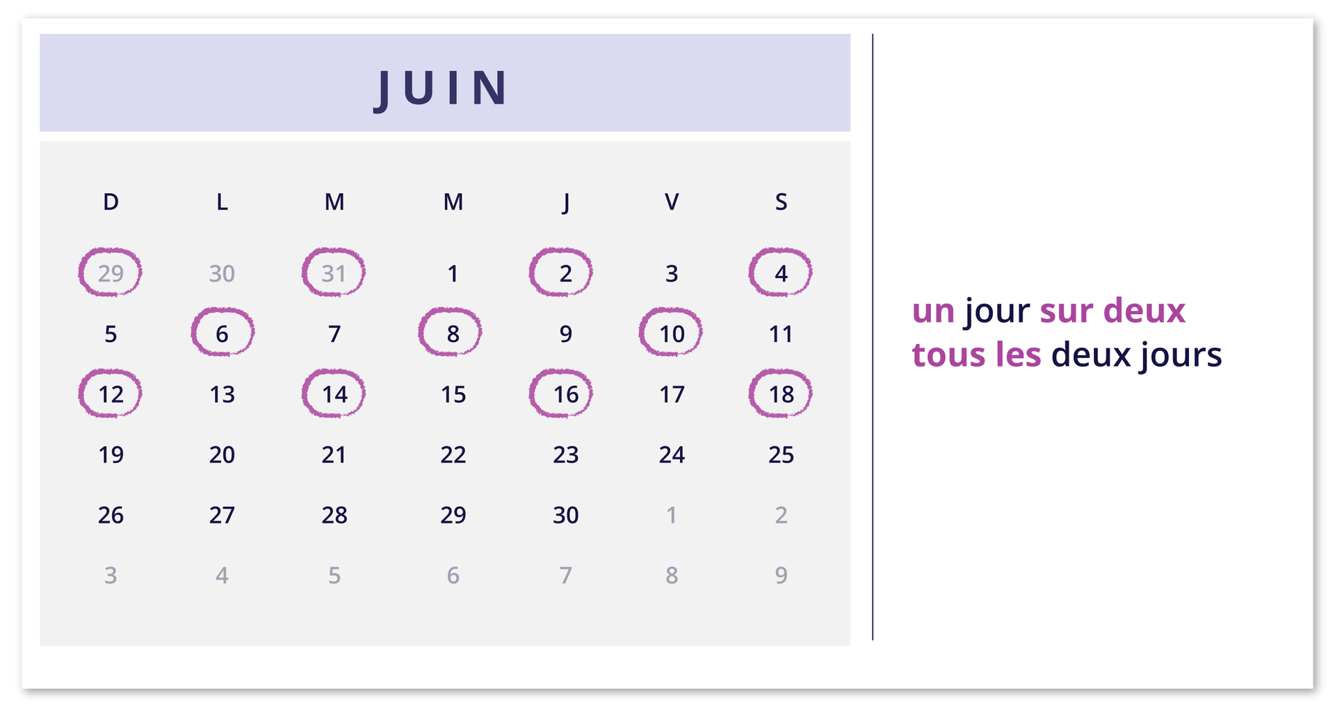 Ilustracja przedstawia fragment kalendarza z miesiącem JUIN. Zaznaczono dni poprzedniego miesiąca: dwudziesty dziewiąty, trzydziesty pierwszy. Zaznaczone dni bieżącego miesiąca: drugi, czwarty, szósty, ósmy, dziesiąty, dwunasty, czternasty, szesnasty, osiemnasty. Obok notatki: un jour sur deux; tous les deux jours.