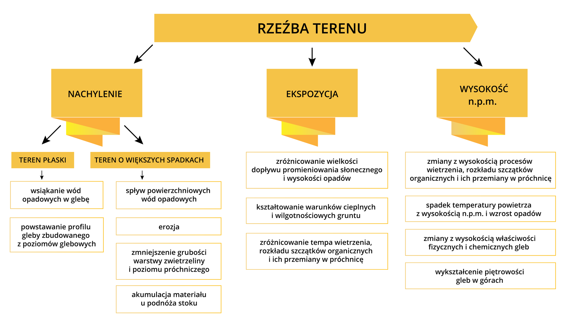 Schemat wpływu rzeźby terenu na kształtowanie właściwości gleby. W rzeźbie terenu wyróżniono: nachylenie, ekspozycję, wysokość nad poziomem morza. W nachyleniu wyróżniono teren płaski i teren o większych spadkach. Teren płaski: wsiąkanie wód opadowych w glebę; powstawanie profilu gleby zbudowanego z poziomów glebowych. Teren o większych spadkach: spływ powierzchniowych wód opadowych; erozja; zmniejszenie grubości warstwy zwietrzeliny i poziomu próchniczego; akumulacja materiału u podnóża stoku. W ekspozycji wyróżniono zróżnicowanie wielkości dopływu promieniowania słonecznego i wysokości opadów; kształtowanie warunków cieplnych i wilgotnościowych gruntu; zróżnicowanie tempa wietrzenia, rozkładu szczątków organicznych i ich przemiany w próchnicę. W wysokości nad poziomem morza wyróżniamy: zmiany z wysokością procesów wietrzenia, rozkładu szczątków organicznych i ich przemiany w próchnicę; spadek temperatury powietrza z wysokością nad poziomem morza i wzrost opadów; zmiany z wysokością właściwości fizycznych i chemicznych gleb; wykształcenie piętrowości gleb w górach.