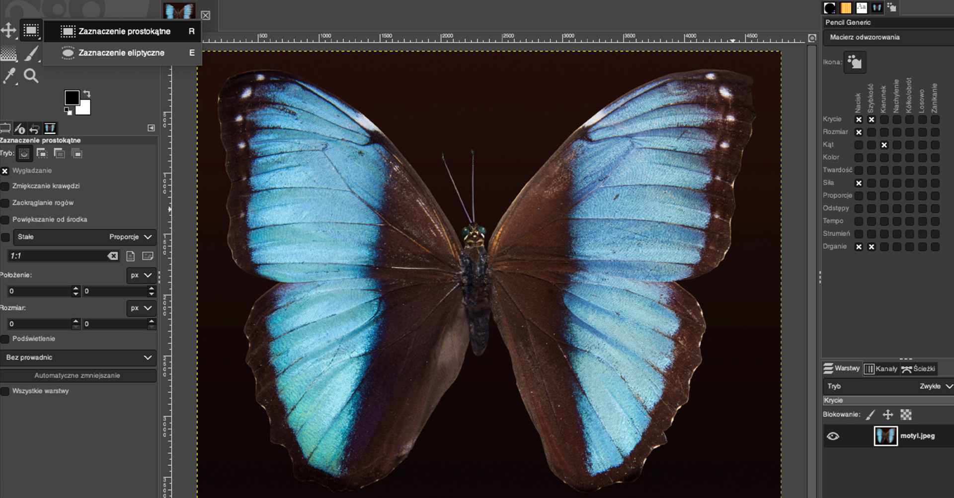 Ilustracja przedstawia okno programu. Po lewej stronie jest panel dotyczący zaznaczenia prostokątnego. Zaznaczono Wygładzenie. W obszarze roboczym jest zdjęcie motyla. Po prawej stronie jest panel dotyczący Pencil Generic.
