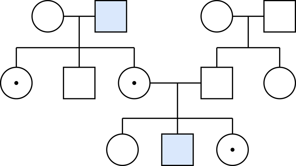 Ilustracja przedstawia rodowód rodziny, w której występuje cecha sprężona z płcią dziedziczoną recesywnie. Pierwszą parę tworzy zdrowa kobieta i chory mężczyzna. Mają oni trójkę dzieci - dwie córki, które są nosicielkami choroby sprzężonej z chromosomem X oraz zdrowego mężczyznę. Drugą parę z kolei tworzy zdrowy mężczyzna oraz zdrowa kobieta. Mają oni dwoje dzieci: zdrowego syna i zdrową córkę. Córka nosicielka pierwszej pary tworzy parę ze zdrowym stylem drugiej pary. Para ta ma troje dzieci. Są to: zdrowa córka, chory syn oraz córka, nosicielka choroby sprzężonej z chromosomem X.