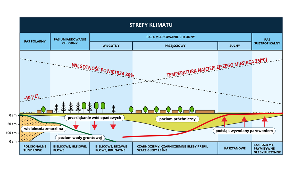 Na schemacie przedstawiono wpływ warunków klimatycznych na właściwości gleb w poszczególnych strefach klimatu. W pasie polarnym występują gleby poligonalne tundrowe, roślinność jest niska, nieliczne drzewa. Występuje tam wieczna zmarzlina do głębokości przekraczającej metr. Jest duża wilgotność powietrza, niska temperatura -10 stopni Celsjusza. Poziom wody gruntowej jest wysoki, poziom próchnicy słabo rozwinięty. W pasie umiarkowanym chłodnym wstępują gleby bielicowe, glejowe i płowe. Dominują drzewa iglaste. Dochodzi do przesiąkania wód opadowych. Poziom wody gruntowej jest niższy niż w przypadku gleb tundrowych. Poziom próchnicy jest nieco wyższy. Wilgotność spada, temperatura rośnie. Pas umiarkowanie chłodny dzieli się na: wilgotny, przejściowy, suchy. W pasie umiarkowanie chłodnym wilgotnym występują gleby bielicowe, rdzawe, brunatne, płowe. Lasy są mieszane. Spada poziom wody gruntowej. Spada wilgotność, rośnie temperatura. Poziom próchnicy nie przekracza 50 centymetrów. W pasie umiarkowanie chłodnym przejściowym występują czarnoziemy, czarnoziemne gleby prerii, szare gleby leśne. To głównie lasy liściaste. Poziom próchnicy może sięgać 100 centymetrów. W pasie umiarkowanie chłodnym suchym występują gleby kasztanowe. Poziom próchnicy ponownie maleje, wilgotność powietrza spada, temperatura najcieplejszego miesiąca wynosi 25 stopni Celsjusza. W glebie dochodzi do podsiąku wywołanego parowaniem. W pasie subtropikalnym występują szaroziemy oraz prymitywne gleby pustynne. Poziom próchnicy nie przekracza 50 centymetrów. Wilgotność powietrza jest niska, temperatura wysoka.     
