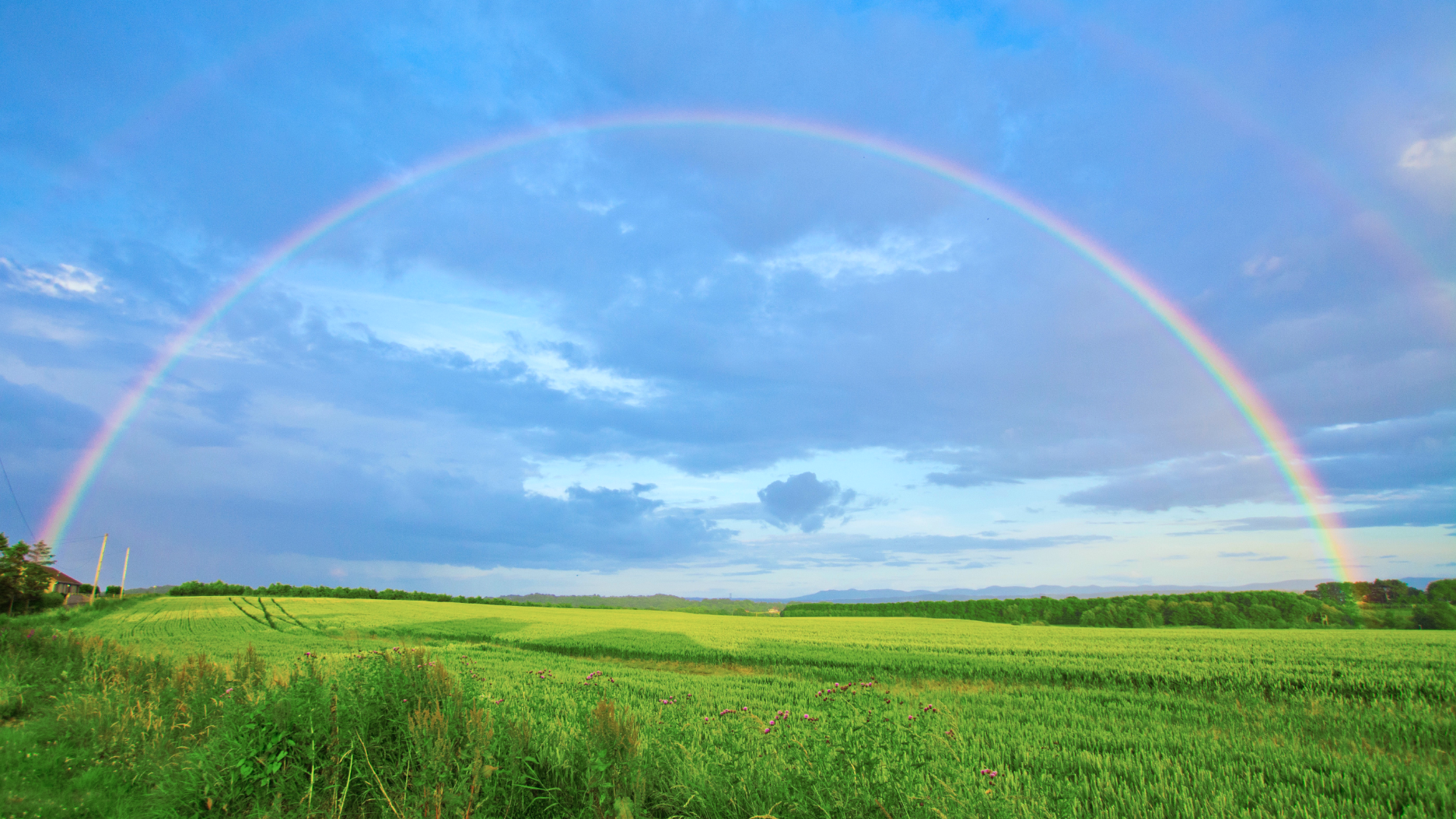 Zdjęcie przedstawia tęczę na zachmurzonym niebie. Na zdjęciu widoczna jest duża, pusta łąka.