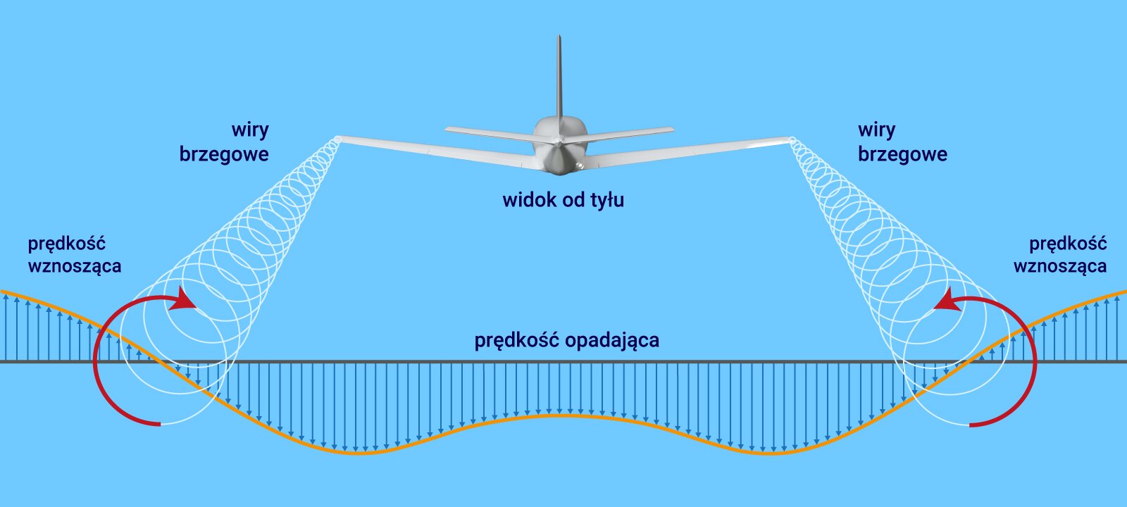Ilustracja przedstawia lecący samolot  w perspektywie tylnej. Za zewnętrznymi krańcami skrzydeł narysowano coraz szersze wiry brzegowe. Zaznaczono dwa rodzaje prędkości, prędkość wznoszącą o wektorze skierowanym pionowo w górę i i opadającą o wektorze skierowanym pionowo w dół. 