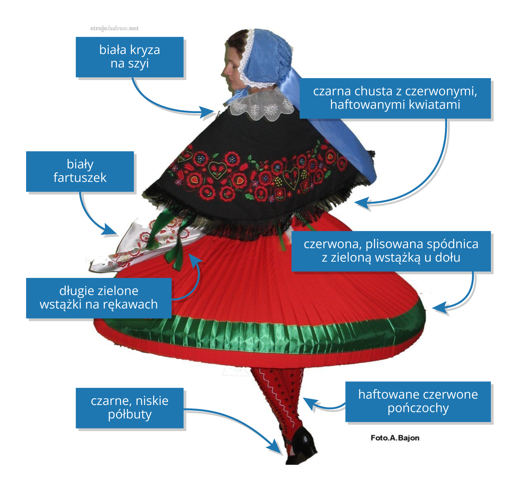 Na zdjęciu znajduje się tancerka w stroju ludowym. Poszczególne części jej stroju są podpisane. Kobieta od dołu ma na sobie następujące części garderoby: czarne, niskie półbuty; haftowane czerwone pończochy; czerwona, plisowana spódnica z zieloną wstążką u dołu; długie, zielone wstążki na rękawach; biały fartuszek; czarna chusta z czerwonymi, haftowanymi kwiatami; biała kryza na szyi. Na głowie ma niebieski czepiec z białą koronką oraz przymocowaną do niego błyszczącą, niebieską chustę