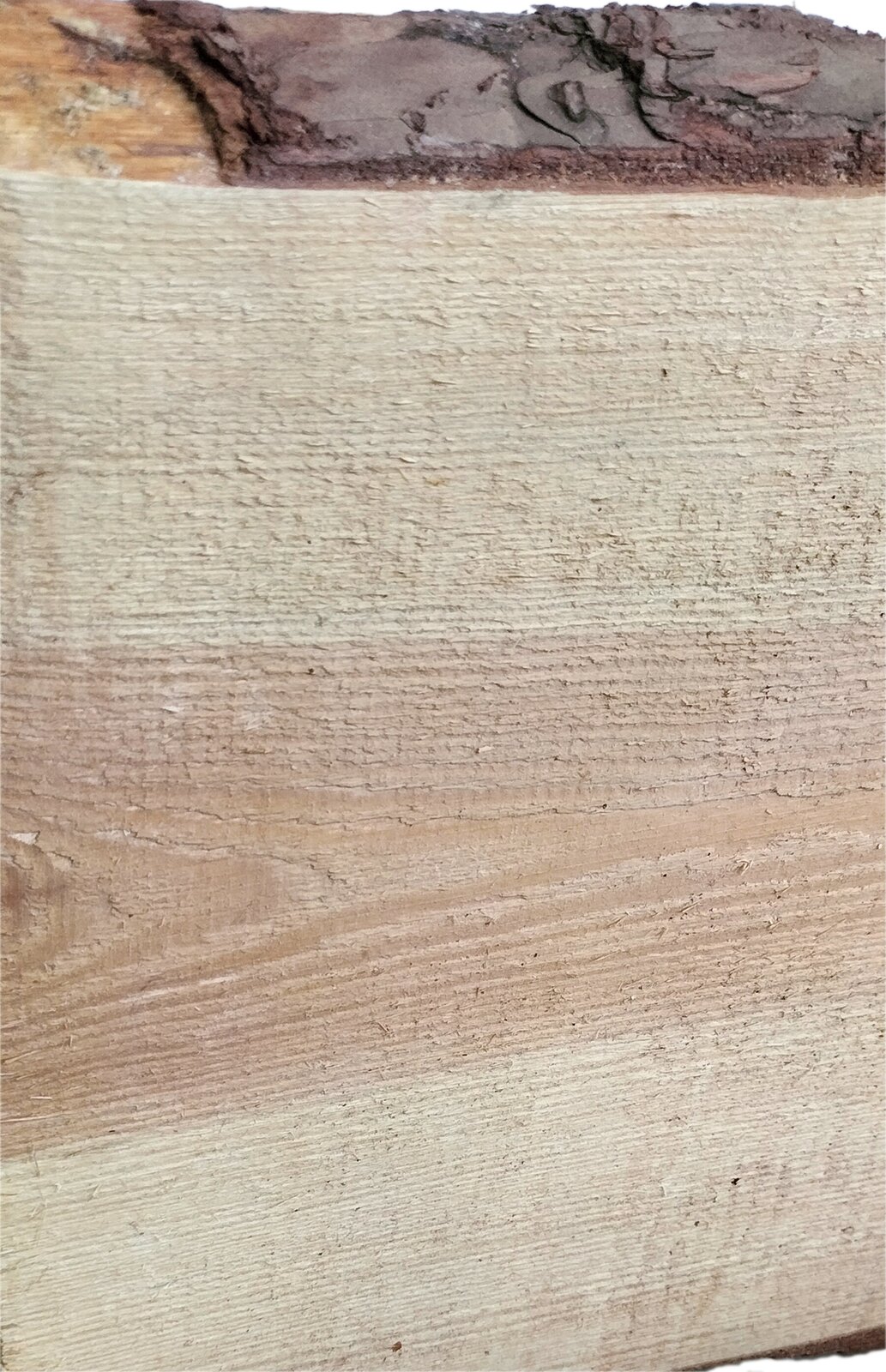 Zdjęcie przedstawia deskę sosnową. Widoczny jest bok jasnobeżowej deski z ciemniejszym słojem pośrodku. Na powierzchni deski widoczne są poziome linie obrazujące ślady obróbki drewna. U góry, na brzegu deski, widoczna jest ciemnobrązowa kora.