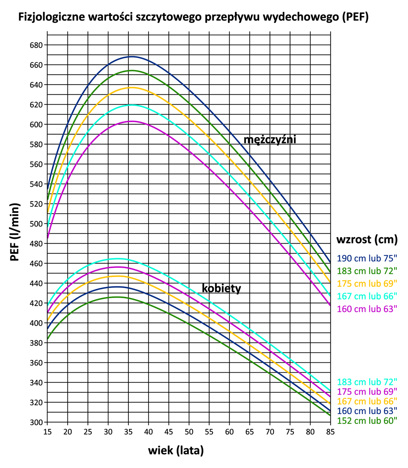 Wykres przedstawia fizjologiczne wartości szczytowego przepływu wydechowego dla kobiet i mężczyzn w różnym wieku. Najwyższe wartości przepływu wydechowego uzyskały kobiety i mężczyźni w przedziale wiekowym 35 do 40 lat. Krzywe różnią się w zależności od wieku, wysokości czy masy ciała. Z upływem lat fizjologiczne wartości przepływu wydechowego maleją. Najniższe są pomiędzy 80 a 85 rokiem życia. Mężczyźni mają zdecydowanie większą pojemność płuc od kobiet w tym samym wieku. Czy o tym samym wzroście. Wartości są też zróżnicowane w ramach tej samej płci. Dla przykładu kobiety niższe osiągają niższe fizjologiczne wartości przepływu wydechowego od kobiet wyższych w tym samym wieku. To samo tyczy mężczyzn. Mężczyźni wyżsi uzyskują wyższe fizjologiczne wartości przepływu wydechowego od mężczyzn niższych w tym samym wieku. Zależności te ilustrują kolorowe krzywe. Zebrane w dwa zbiory (wiązki kolorowych linii) zależne od płci. Niższe wartości tyczą kobiet, wyższe mężczyzn.