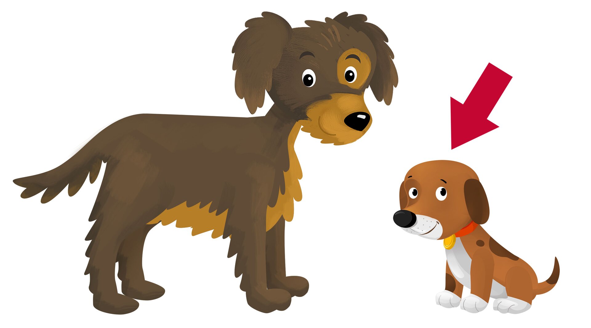 Na ilustracji znajduje się mały i duży pies. Czerwona strzałka wskazuje na małego psa.