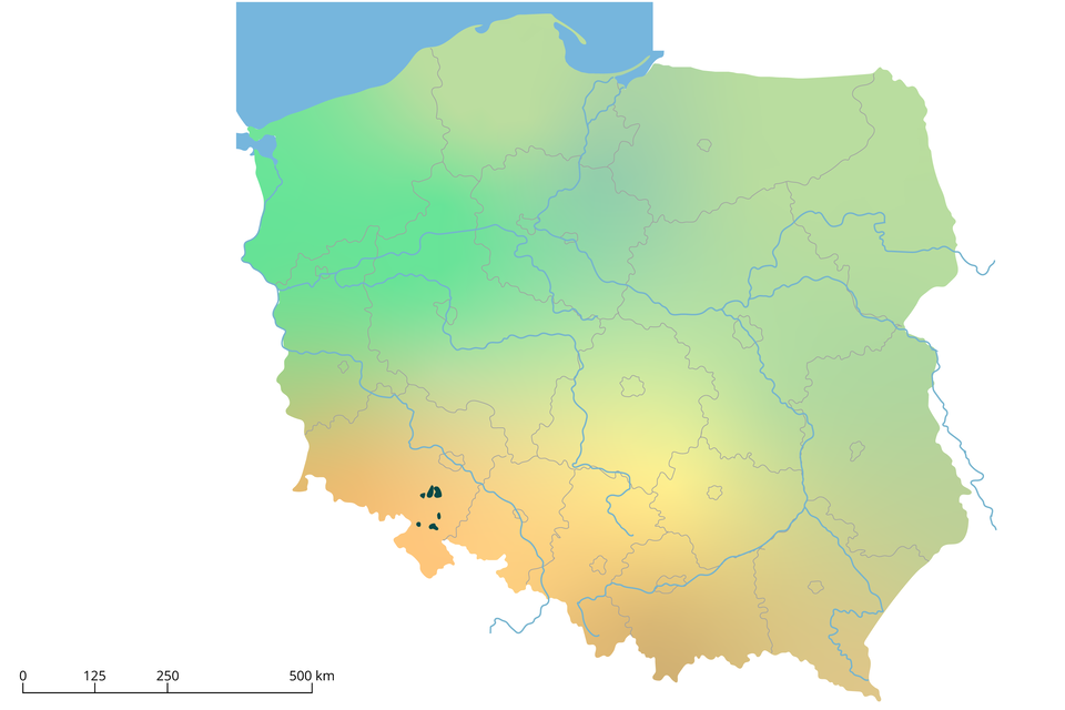 Mapa F. Na mapie Polski w województwie dolnośląskim - w jego południowo‑wschodniej części jest kilka ciemnozielonych punktów. 