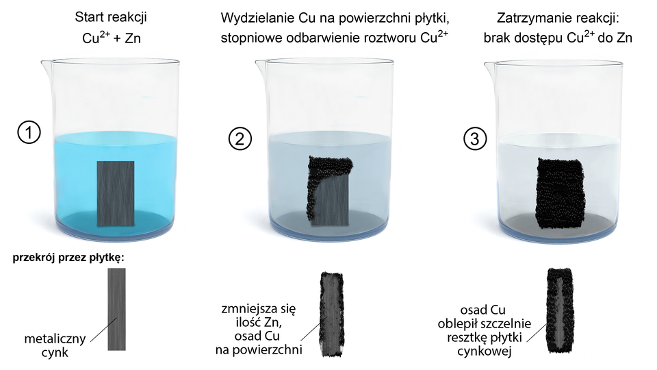 Ilustracja przedstawiająca dwie zlewki. W pierwszej znajduje się niebieski roztwór jonów miedzi C u indeks górny, dwa, plus, koniec indeksu górnego, w którym to zanurzona jest płytka cynkowa. W drugiej zlewce znajduje się roztwór jonów cynku zet en indeks górny dwa plus koniec indeksu, w którym to zanurzona jest płytka wykonana z miedzi.  Ilustracja przedstawiająca trzy zlewki. W pierwszej znajduje się niebieski roztwór, w którym zanurzona jest płytka wykonana z metalicznego cynku. Nad zlewką znajduje się napis "start reakcji". Pod zlewką przekrój przez płytkę metalicznego cynku o szarym, jednolitym zabarwieniu. W kolejnej zlewce w miarę postępu reakcji roztwór stopniowo odbarwia się. Miedź wydziela się na płytce cynkowej przy jednoczesnym zmniejszeniu ilości cynku w płytce. Poniżej przedstawiono płytkę pokrytą ciemnym, osadem na powierzchni, która uległa zmniejszeniu na skutek przechodzenie cynku do roztworu. W trzeciej zlewce przedstawiono zatrzymanie reakcji, kiedy to brak jest dostępu jonów C u indeks górny, dwa, plus, koniec indeksu górnego do cynku. To znaczy osad miedzi całkowicie pokrył płytkę cynkową, co obrazuje przedstawiony pod zlewką przekrój. Roztwór jest praktycznie odbarwiony, zaś płytkę cynkową szczelnie pokrywa osad miedzi. Osad jest ciemno‑brunatny i chropowaty. 