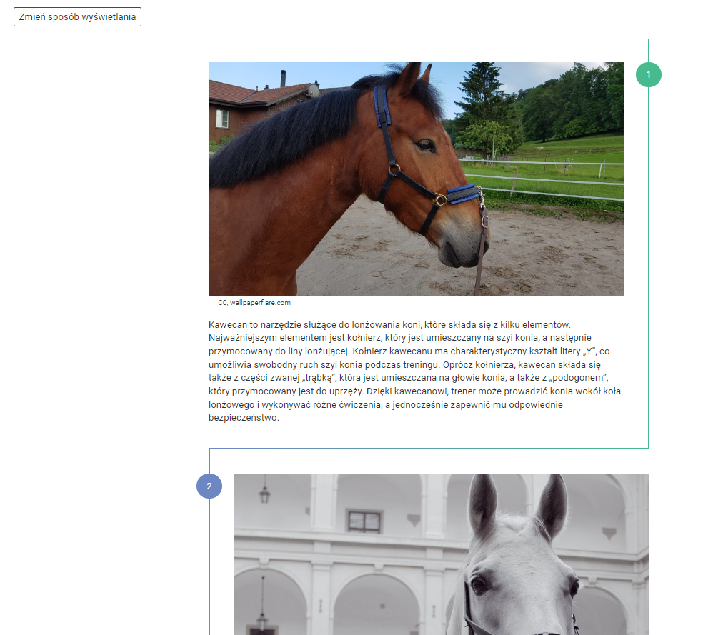Przykładowy widok fragmentu galerii. Widoczne są dwa zdjęcia, między którymi znajduje się tekst. Na pierwszym zdjęciu widoczna jest głowa brązowego konia przebywającego na wybiegu. Na drugim biały koń otoczony jest ścianami jasnego budynku.