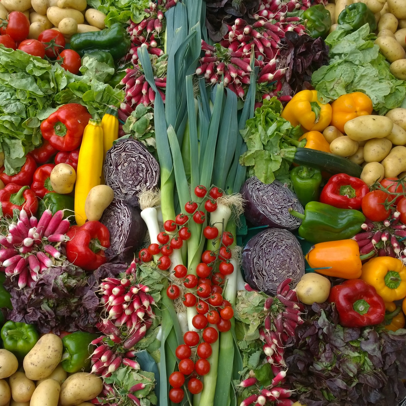 Grafika przedstawia stos warzyw. Znajdują się tam pory, pomidory, papryki, zmienniaki, sałaty, kapusty, rzodkiewki i kabaczki.