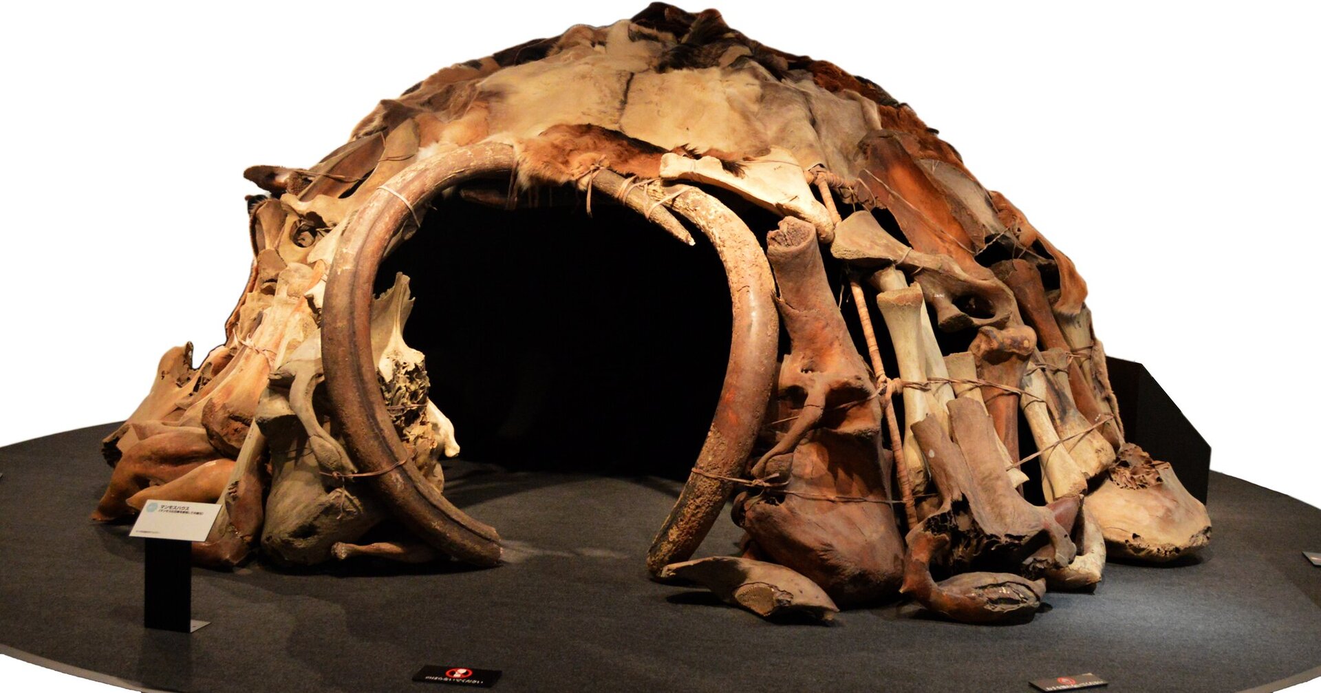 Zdjęcie przedstawia kopułowatą konstrukcję z okrągłym wejściem zbudowaną z kości mamuta.