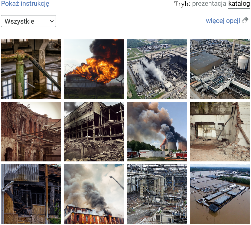 Ilustracja przedstawia zdjęcia ułożone w kilku rządach, są takiej samej wielkości. Nad rzędami zdjęć po prawej stronie znajduje się zmiana trybu: katalog/prezentacja. Po lewej widoczna jest opcja: Pokaż instrukcję.