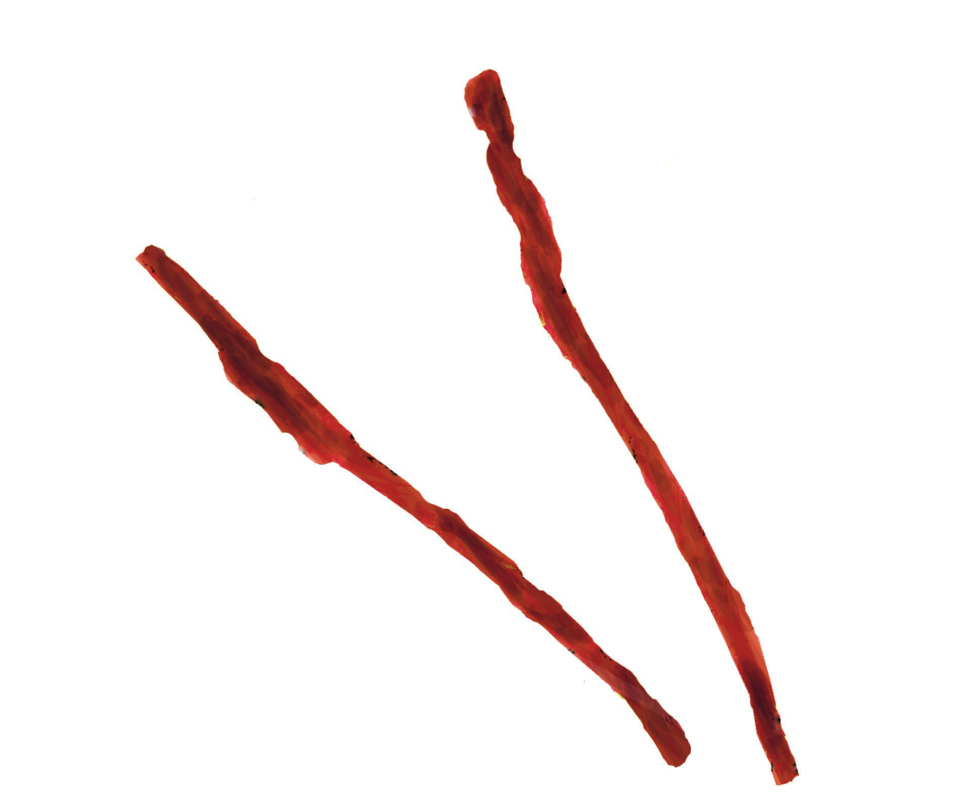 Barwna ilustracja przedstawiająca dwa brązowe kije. Jeden jest lekko odchylony w lewo. Tło jest białe.