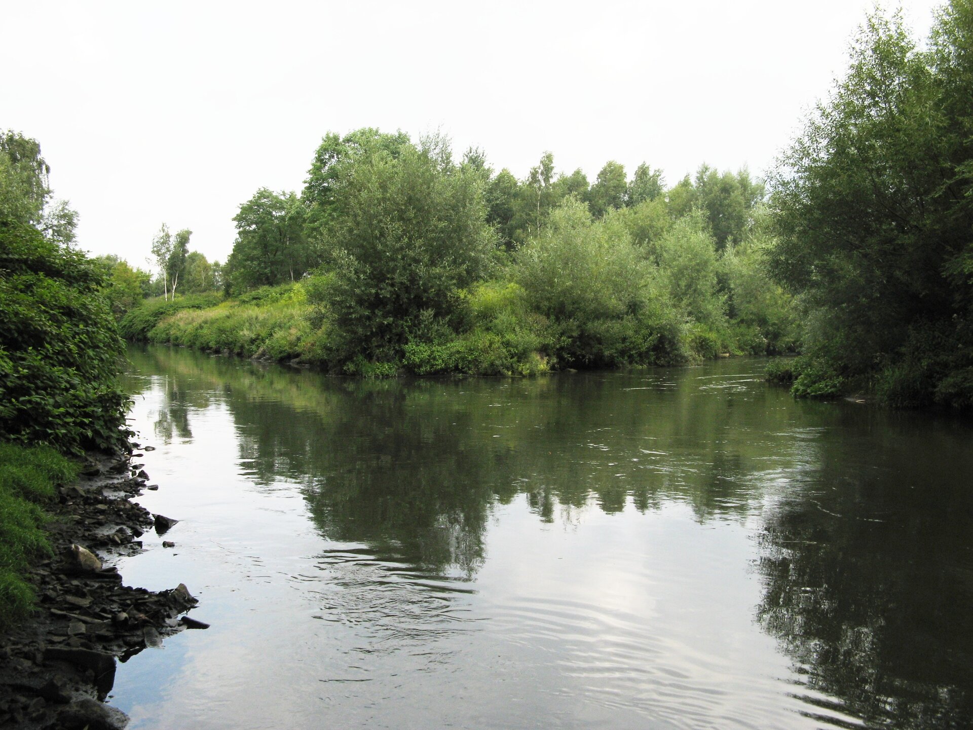 Fotografia zbiegających się trzech niewielkich rzek. Całość na zdjęciu tworzy kształt litery Y. Brzegi pokryte gęstym lasem liściastym.