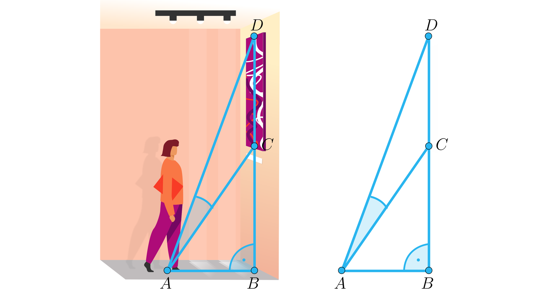 Ilustracja przedstawia kobietę stojącą w galerii sztuki przed obrazem wiszącym na ścianie. Na ilustrację naniesiono dwa trójkąty o wspólnym boku: A B C oraz A C D. Boki trójkąta prostokątnego A B C to: A B pozioma przyprostokątna określająca odległość kobiety od ściany. Odległość ta poprowadzona jest wzdłuż podłogi. Bok B C to pionowa przyprostokątna opisująca odległość od podłogi do dolnej krawędzi obrazu. Przekątna A C to odległość między stopami kobiety a dolną krawędzią obrazu. Przy wierzchołku B oznaczono kąt prosty. Trójkąt A C D ma następujące boki: ukośny bok A C będący odległością między stopami kobiety a dolną krawędzią obrazu, ukośny bok A D będący odległością między stopami kobiety a górną krawędzią obrazu oraz pionowy bok C D będący odległością między krawędziami obrazu. Na rysunku zaznaczono kąt ostry w trójkącie A C D przy wierzchołku A.