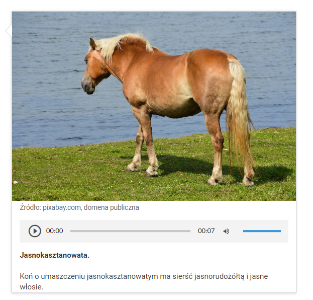 Ilustracja przedstawia zdjęcie w galerii. Widoczne jest zdjęcie jasnokasztanowego konia, który stoi przy zbiorniku wodnym. Pod nim znajduje się podpis. W prawym górnym rogu umieszczona jest ikona z przekreślonym okiem.