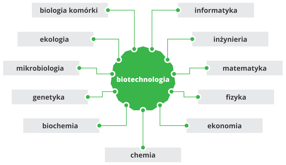 Grafika przedstawia umieszczony w środku napis biotechnologia, od prawej strony odchodzą kolejne napisy w podanej kolejności: informatyka, inżynieria, matematyka, fizyka, ekonomia, chemia, biochemia, genetyka, mikrobiologia, ekologia, biologia komórki.
