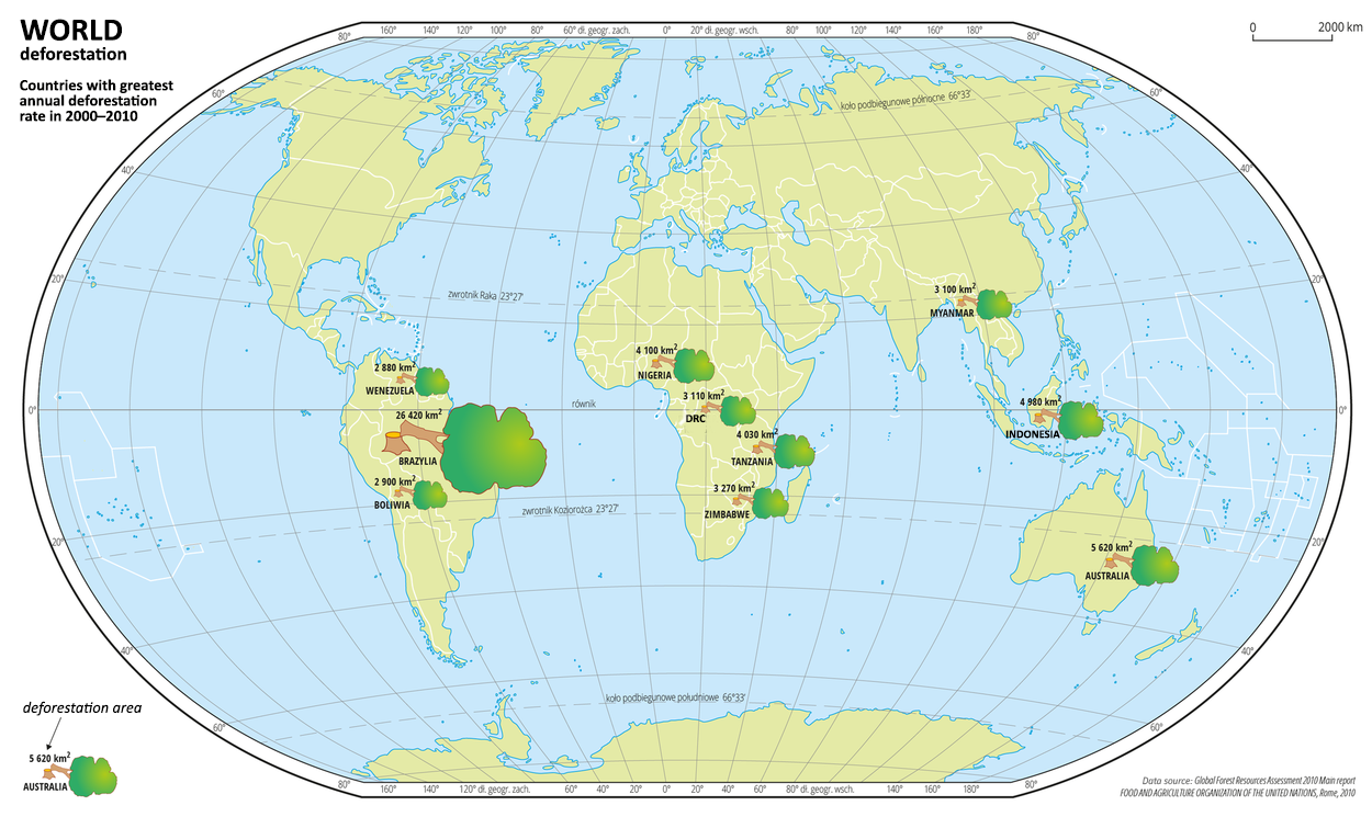 lustracja przedstawia mapę świata. Wody zaznaczono kolorem niebieskim. Na mapie za pomocą sygnatury ściętego drzewa przedstawiono państwa o największym średnim rocznym wylesieniu w latach dwa tysiące – dwa tysiące dziesięć. Nad sygnaturą zapisano powierzchnię wylesienia w kilometrach kwadratowych.Sygnatury występują na obszarach w wzdłuż równika. Największa sygnatura opisana liczbą dwudziestu sześciu tysięcy kilometrów kwadratowych występuje w Brazylii. Mapa pokryta jest równoleżnikami i południkami. Dookoła mapy w białej ramce opisano współrzędne geograficzne co dwadzieścia stopni.Po lewej stronie mapy objaśniono sygnaturę użytą na mapie. Tłumaczenie: Countries with greatest annual deforestation rate in 2000–2010 according to FAO  ŚWIAT - WORLD wylesianie - deforestation powierzchnia wylesienia - deforestation area.