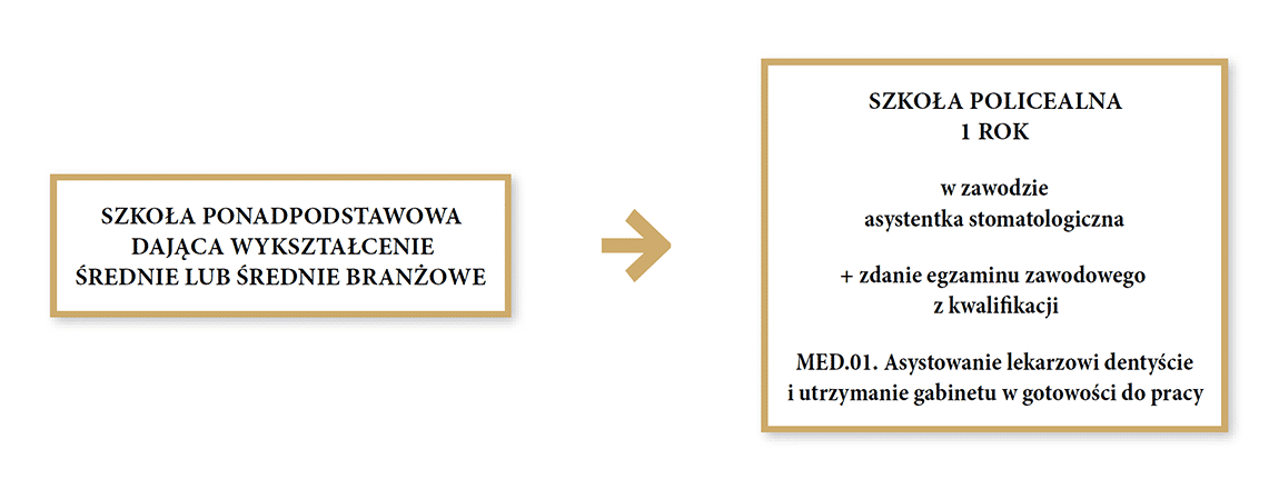 Aby uzyskać wykształcenie w zawodzie asystentki stomatologicznej należy ukończyć szkołę ponadpodstawową dającą wykształcenie średnie lub średnie branżowe następnie ukończyć roczną szkołę policealną w zawodzie asystentka stomatologiczna, zdać egzamin zawodowy z kwalifikacji M E D kropka 0 1 kropka asystowanie lekarzowi dentyście i utrzymanie gabinetu w gotowości do pracy