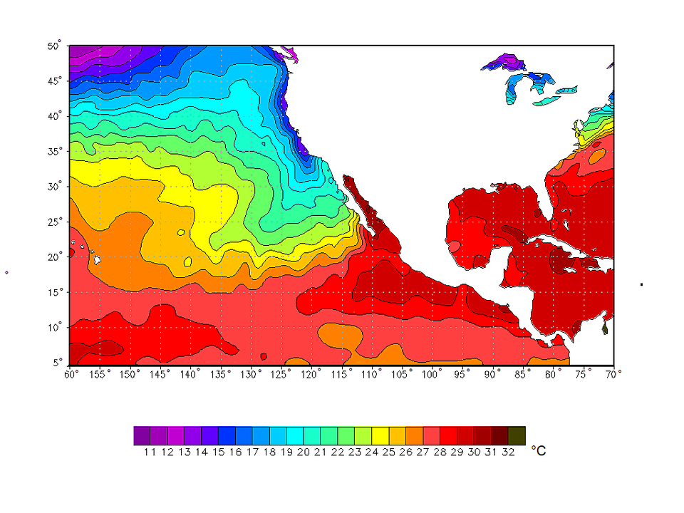 Mapa przedstawia temperaturę powierzchni Oceanu Spokojnego na zachodnich wybrzeżach Ameryki. Znajduje się na niej wycinek kontynentu na połączeniu Ameryki Północnej i Południowej. Obszar Oceanu jest pokryty liniami, które wypełnione są kolorem symbolizującym określoną temperaturę. Pod mapą znajduje się legenda. Podziałka wykresu zaznaczona jest co 1 stopień Celsjusza. Zaczyna się od -1 stopnia, a kończy na 32 stopniach Celsjusza. Każda z temperatur ma przyporządkowany określony kolor. Zaczyna się od różowego, po jasnoszary, ciemnoszary, granatowy, fioletowy, różowy, ciemnoniebieski, jasnoniebieski, turkusowy, zielony, żółty, pomarańczowy, czerwony aż do bordowego. Większość mapy, szczególnie w jej centralnym punkcie posiada obszary w kolorze bordowym i czerwonym. Od nich w kierunku południowym i północnym odchodzą obszary pomarańczowe, żółte, zielone, aż do niebieskiego i granatowego, po fioletowy w północnym krańcu mapy. 