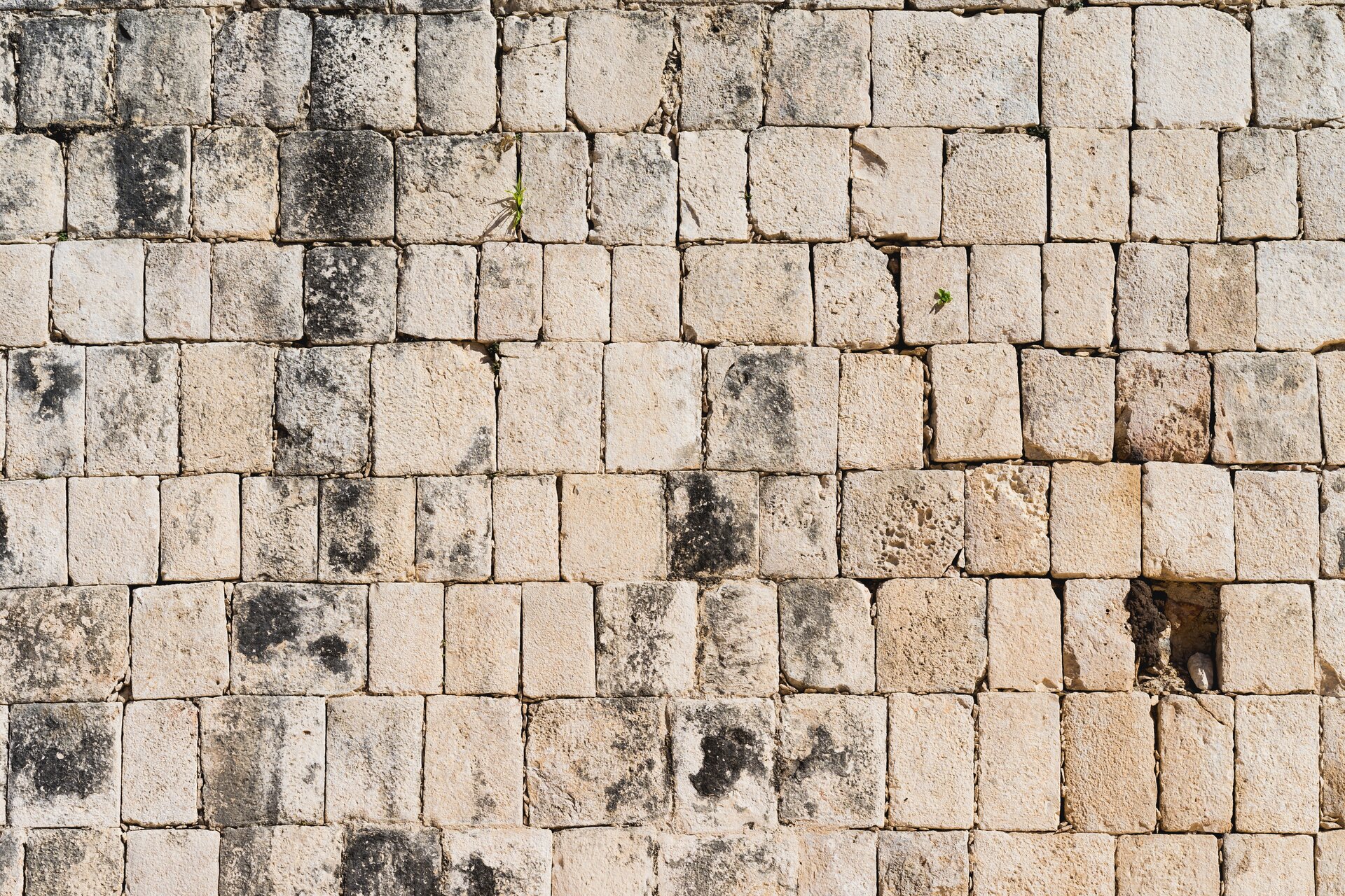 Zdjęcie przedstawia ułożone równo kamienne bloki o śrutowanej fakturze i jasnym kolorze piaskowca. Powierzchnia surowca zawiera delikatne rowki i wgłębienia.