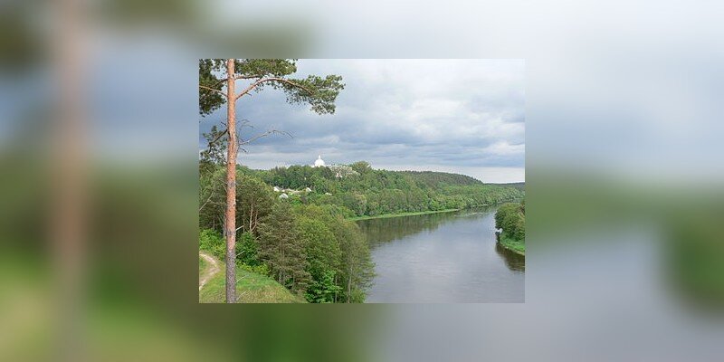 Zdjęcie przedstawia płynącą pośród lasów rzekę.