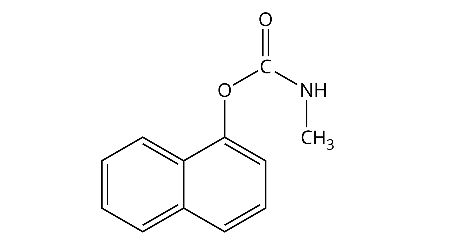 Ilustracja przedstawia wzór karbarylu. Jego strukturę tworzą atomy wodoru, węgla, azotu i tlenu. Obecny jest pierścień naftalenu - dwa skondensowane pierścienie benzenowe. Jeden z atomów węgla pierścienia jest podstawiony atomem tlenu dodatkowo związanm z grupą karbonylową, do której dołączona jest grupa − N H C H 3 .