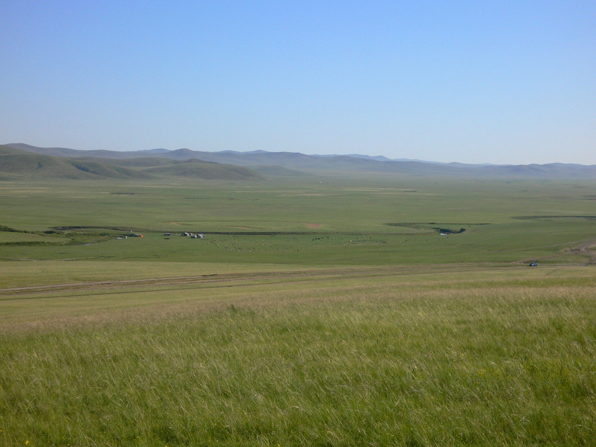 Fotografia przedstawiająca szeroką panoramę stepu. Dość monotonny krajobraz, daleko na drugim planie linie rozległych, niewysokich wzniesień o łagodnych stokach. Całość terenu pokryta trawami, brak innej roślinności. W oddali pojedyncze budynki i zwierzęta na pastwisku. 