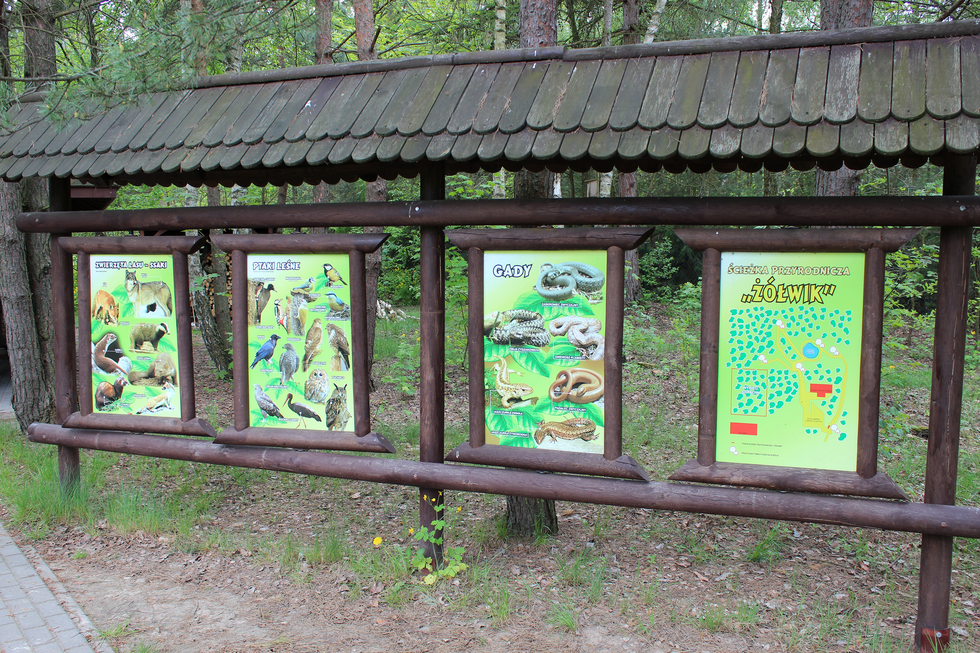 Fotografia przedstawia cztery tablice umieszczone na ścieżce przyrodniczej, na których umieszczono informacje o żyjących tam ssakach, ptakach i gadach oraz mapę ścieżki przyrodniczej ”Żółwik".
