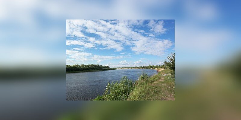 Zdjęcie przedstawia koryto rzeki latem. Jej brzegi porośnięte są trawą, krzewami i drzewami. Niebo jest niebieskie, pokryte niewielkimi chmurami.