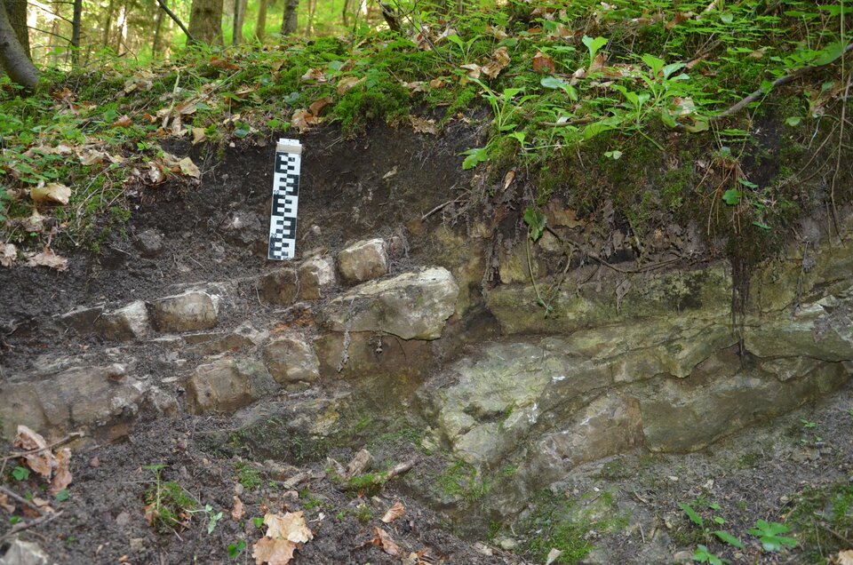 Zdjęcie przedstawia profil gleby typu ranker. Gleba ta ma płytką warstwę czarnej ziemi, pod którą znajduje się płyty skalne. 