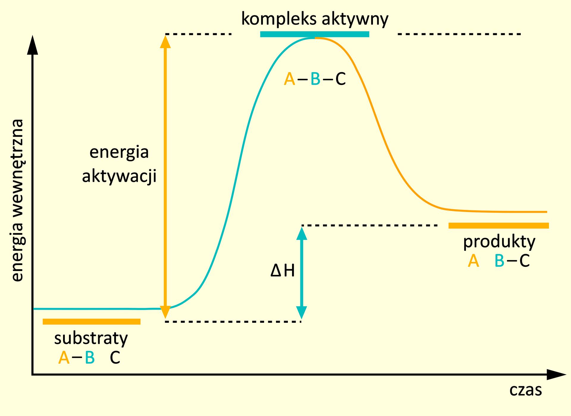 Wykres zależności energii wewnętrznej układu od czasu dla reakcji endotermicznej. Energia substratów A wiązanie B oraz C zaznaczona jako poziomy odcinek po lewej stronie. Następnie funkcja rośnie osiągając maksimum, które odpowiada energii kompleksu aktywnego A wiązanie B wiązanie C. Dalej funkcja maleje i wypłaszcza się, przyjmując wartość większą niż energia substratów, to jest energię produktów A oraz B wiązanie C. Różnica pomiędzy energią kompleksu aktywnego i energią substratów to energia aktywacji, natomiast różnica pomiędzy energią produktów i energią substratów to ∆H.