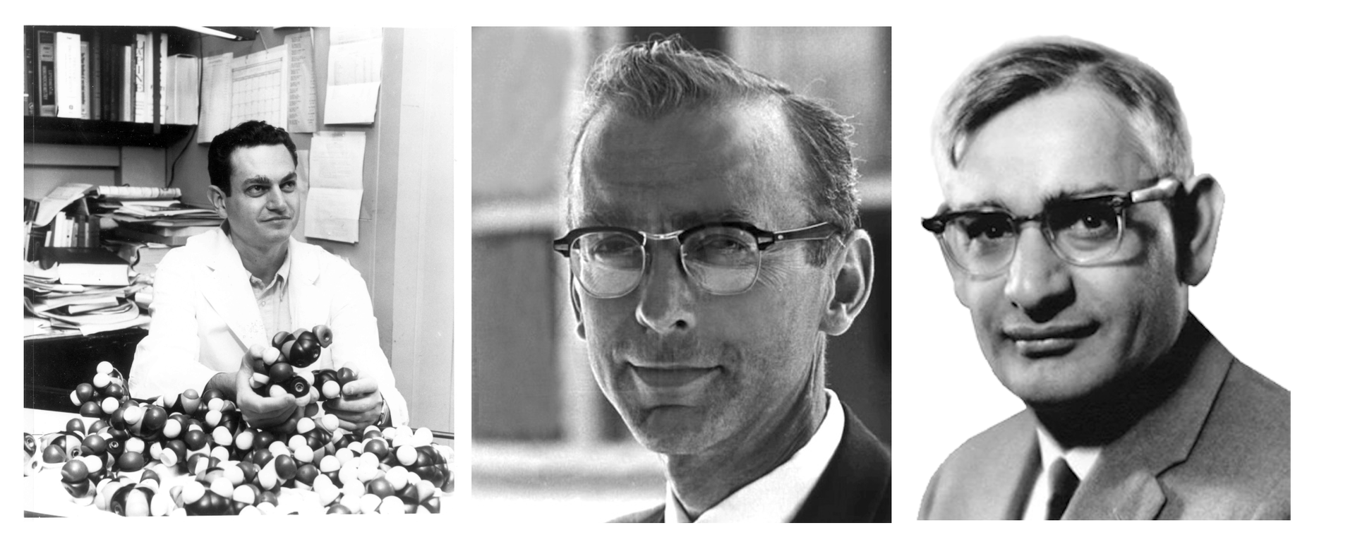 Zdjęcie przedstawia trzech mężczyzn: Marshalla Warrena Nirenberga, Roberta Williama Holleya i Hara Gobinda Khoranę. Zdjęcie jest czarno‑białe. Pierwszy z naukowców siedzi przy stole, na którym znajdują się modele cząsteczek. Ma na sobie biały fartuch. Pozostali dwaj ukazani są na zdjęciach portretowych. Noszą okulary i mają garnitury.