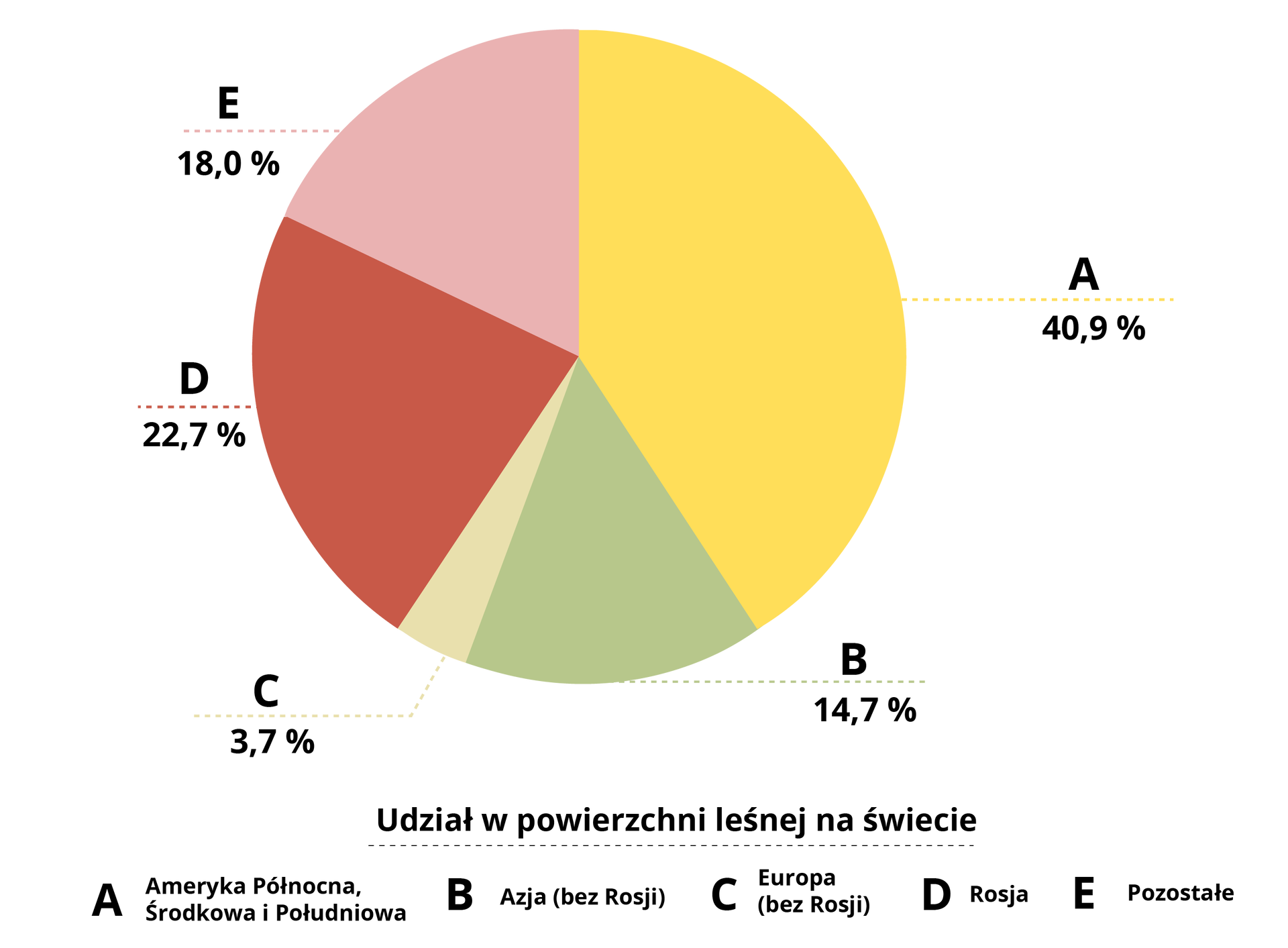 Wykres kołowy przedstawia udział w powierzchni leśnej. W Ameryce Północnej, Środkowej i Południowej jest to 40,9%. W Azji bez Rosji jest to 14,7%. W Europie bez Rosji jest to 3,7%. W Rosji jest to 22,7%. W pozostałych jest to 18%.