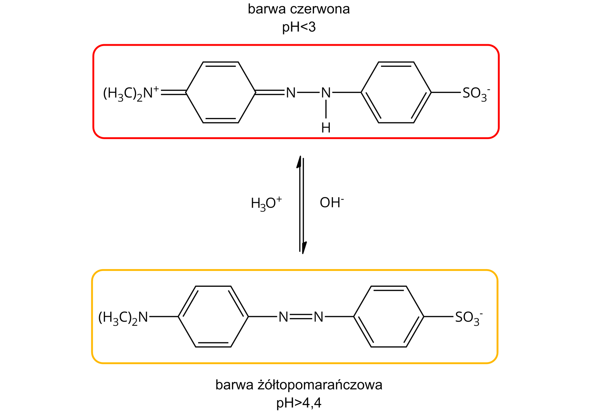 Ilustracja przedstawiająca dwie struktury oranżu metylowego w zależności od pH roztworu. Przy pH mniejszym niż trzy barwa czerwona, za którą odpowiada forma uprotonowana o strukturze: atom azotu obdarzony ładunkiem dodatnim związany z dwiema grupami metylowymi CH3 oraz za pomocą wiązania podwójnego z sześcioczłonowym pierścieniem węglowym, w którym dwa przeciwległe wiązania są wiązaniami podwójnymi. W pozycji czwartej względem wspomnianej grupy z atomem azotu, od pierścienia odchodzi wiązanie podwójne łączące go z kolejnym atomem azotu, który to związany jest z następnym atomem azotu połączonym z atomem wodoru oraz pierścieniem benzenowym, który jest podstawiony w pozycji czwartej grupą SO3-. Strzałka w dół opisana: anion hydroksylowy, strzałka w górę jon oksoniowy. Poniżej struktura zdeprotonowana, powstająca w roztworach o pH wyższym od 4,4 i dająca zabarwienie żółtopomarańczowe roztworu. Struktura zdeprotonowana: zbudowana z atomu azotu połączonego z dwiema grupami metylowymi CH3  oraz pierścieniem benzenowym. Względem grupy dimetyloaminowej w pozycji czwartej znajduje się atom azotu połączony wiązaniem podwójnym z kolejnym atomem azotu, który to łączy się pierścieniem benzenowym mającym w pozycji czwartej grupę SO3-.