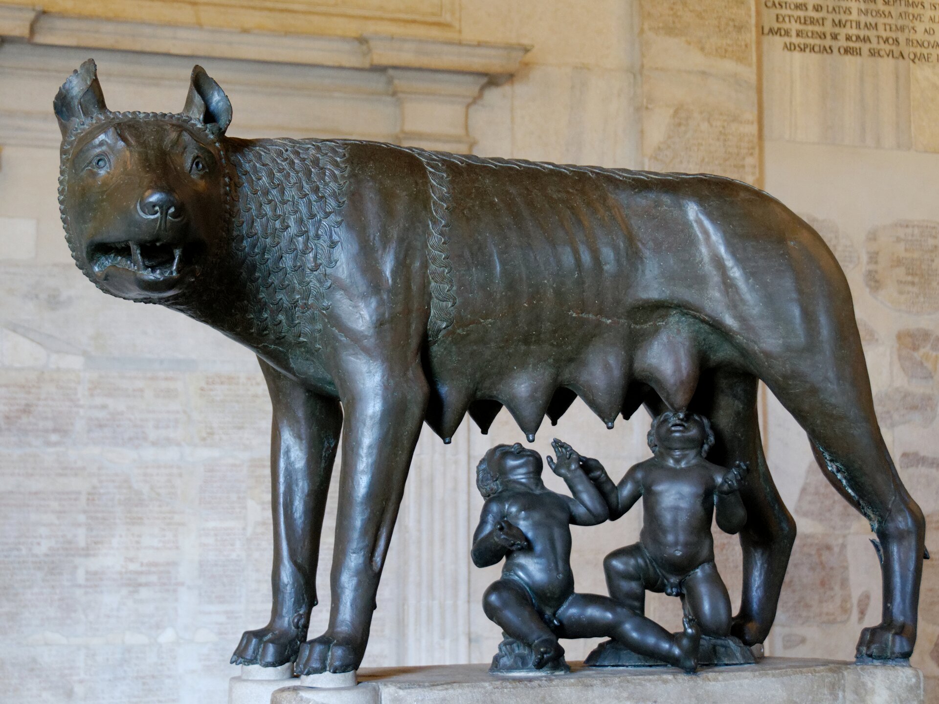 Ilustracja przedstawia "Wilczycę kapitolińską" - rzeźbę nieznanego autora nadnaturalnych rozmiarów. Brązowa wilczyca spogląda w bok, wyczekując zagrożenia. Pod nią znajdują się posążki legendarnych bliźniaków Romulusa i Remusa spokojnie ssących jej sutki.