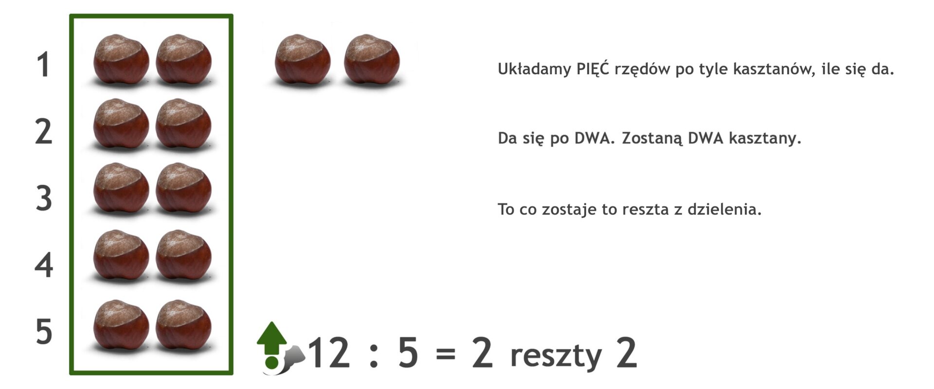 Na rysunku 12 kasztanów. Podzielono je na 5 rzędów po dwa kasztany w każdym. Zostały 2 kasztany. Działanie: 12 dzielone przez 5 =2 reszty 2.