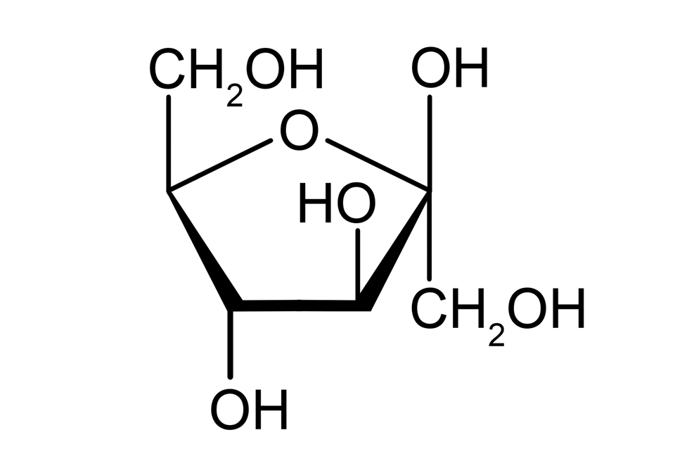 Ilustracja przedstawiająca wzór formy cyklicznej alfa‑D-fruktofuranozy zbudowanej z pięcioczłonowego pierścienia, który stanowi węgiel C jeden należący do grupy C H indeks dolny, dwa, koniec indeksu dolnego. Podstawiony jest on grupą hydroksylową O H i łączy się z budującym pierścień atomem węgla C dwa, który związany jest grupą hydroksylową odchodzącą do góry przed płaszczyznę. Od węgla C trzy do góry przed płaszczyznę odchodzi grupa hydroksylowa O H, z kolei od węgla C cztery grupa hydroksylowa O H odchodzi za płaszczyznę. Węgiel C pięć łączy się z atomem tlenu, który to związany jest z atomem węgla C dwa, co zamyka pięcioczłonowy pierścień. Ponadto od węgla C pięć odchodzi do góry, przed płaszczyznę grupa C H indeks dolny, dwa, koniec indeksu dolnego, O H.