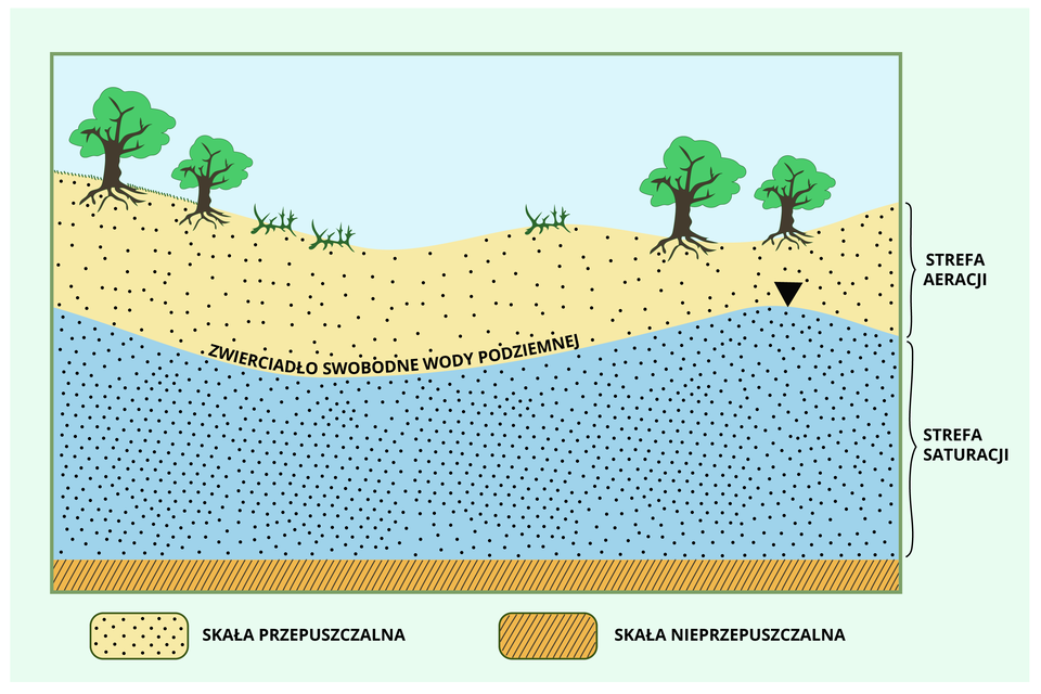 Ilustracja przedstawia schemat stref aeracji i saturacji. Na ilustracji przedstawiono przekrój przez fragment terenu. Na powierzchni rośnie kilka drzew i trawa. Wyróżniono trzy warstwy pod nimi. Pierwsza warstwa, na której rosną drzewa i trawa, opisana jest jako strefa aeracji - to strefa przepuszczalna. Pod nią jest strefa saturacji. Linia, stanowiąca granicę pomiędzy strefami, to zwierciadło wody powierzchniowej. Na samym dole zaznaczona jest warstwa nieprzepuszczalna. 