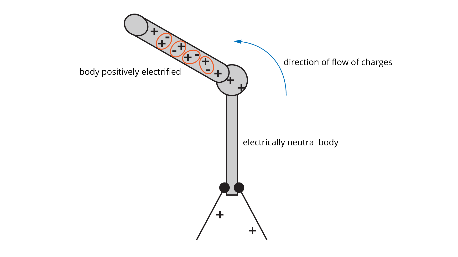 Na rysunku przedstawiony jest schematycznie elektroskop. Pionowy prostokąt opisany electrically neutral body, na dole dwa kółka z liniami przy których jest znak plus, na górze koło wewnątrz którego są dwa znaki plus. Obok koła ukośny prostokąt ze znakami plus (5) i minus (3) opisany body positively electrified. Trzy pary znaków plus i minus otoczone elipsą. Po prawej stronie obrazka strzałka ukośna skierowana w lewo opisana direction of flow of charges.