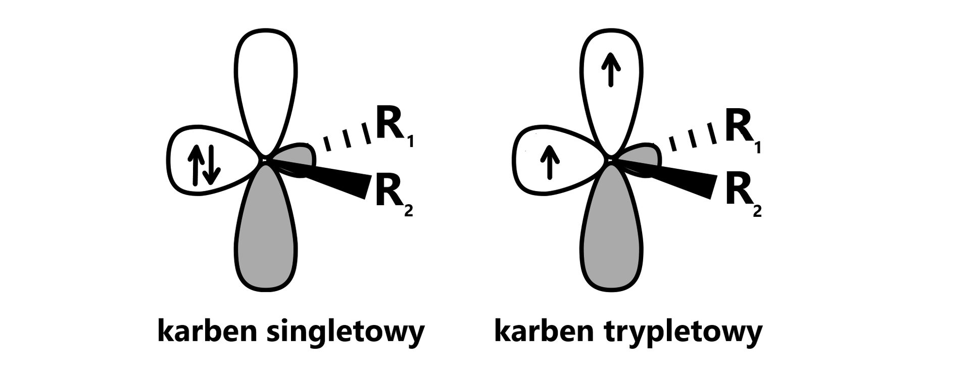 Ilustracja przedstawiająca karbeny w stanie singletowym i trypletowym. Karben singletowy posiada hybrydyzację sp2. Dwa podstawniki R1 oraz  R2, a także para elektronowa symbolizowana przez dwie pionowe strzałki skierowane w przeciwnych kierunkach  na jednym z czterech orbitali ma parę elektronów. Obok znajduje się struktura karbenu trypletowego, jednak o hybrydyzacji sp2, to znaczy elektrony znajdują się na dwóch orbitalach p oraz sp, są niesparowane.