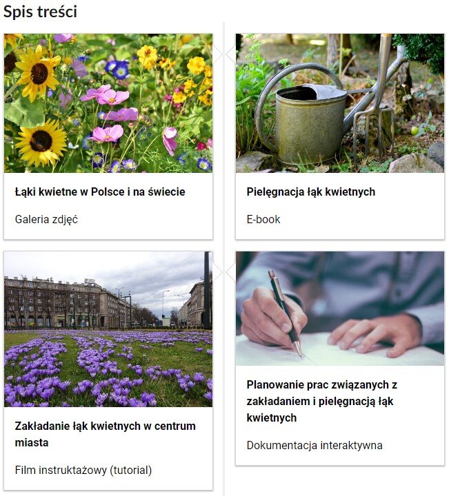Grafika przedstawia zrzut ekranu zawierający spis treści tej lekcji. Przedstawiono cztery kafelki, na których umieszczono tytuł materiału, jego rodzaj oraz ilustracje powiązaną z jego tematem. Pierwszy kafelek posiada ilustrację przedstawiającą łąkę, którą porastają trawy oraz różne kwiaty, między innymi żółte słoneczniki i różowe komosy podwójnie pierzaste. Materiał dotyczy łąk kwietnych w Polsce i na świecie. Zawiera on galerię zdjęć. Drugi kafelek posiada ilustrację przedstawiającą konewkę stojącą na ziemi. Materiał dotyczy pielęgnacji łąk kwietnych. Zawiera on e‑booka. Trzeci kafelek posiada ilustrację przedstawiającą łąkę kwietną w centrum miasta, którą porasta trawa oraz fioletowe krokusy wiosenne. Materiał dotyczy zakładania łąk kwietnych w centrum miasta. Zawiera on film instruktażowy (tutorial). Czwarty kafelek posiada ilustrację przedstawiającą mężczyznę siedzącego przy stole i piszącego na kartce za pomocą długopisu. Materiał dotyczy planowania prac związanych z zakładaniem i pielęgnacją łąk kwietnych. Zawiera on dokumentację interaktywną. 