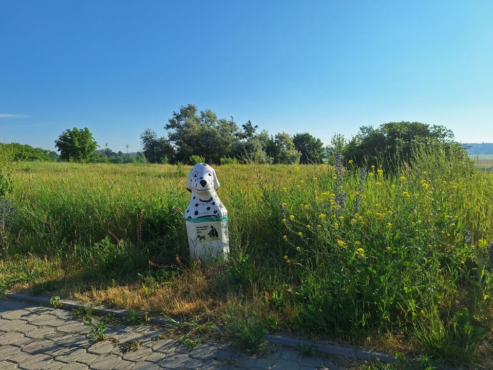 Ilustracja przedstawia fotografię krajobrazu. Na pierwszym planie wyeksponowany jest kosz na śmieci w kształcie psa. Jest położony wśród wysokich traw, a w oddali widoczne są zarysy kilku drzew oraz błękitne niebo. Kadr jest przykładem kompozycji z akcentem.