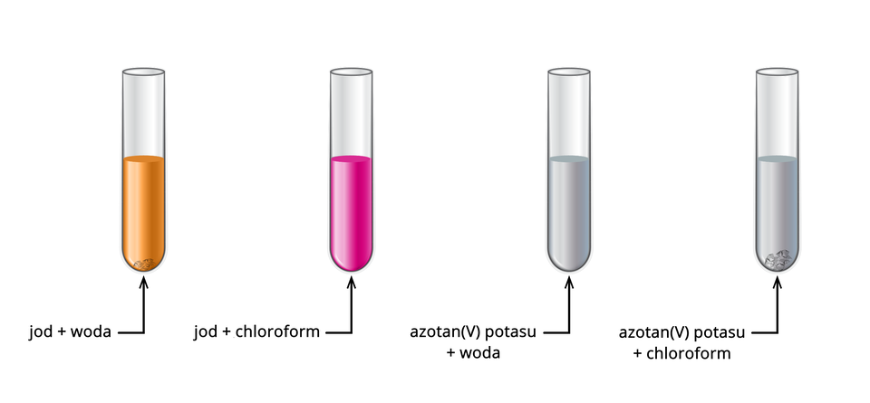 Na ilustracji przedstawiono cztery probówki. W pierwszej probówce od lewej znajduje się pomarańczowy roztwór, a na jej dnie leżą nierozpuszczone resztki szarych kryształków. Pod probówką umieszczono napis: jod + woda. W drugiej probówce znajduje się tylko różowy roztwór. Pod probówką umieszczono napis: jod + chloroform. W trzeciej probówce znajduje się bezbarwny roztwór. Pod probówką zamieszczono napis: azotan(V) potasu + woda. W czwartej probówce znajduje się bezbarwny roztwór, a na jej dnie kryształki nierozpuszczonej substancji. Pod probówką umieszczono napis: azotan(V) potasu + chloroform. 