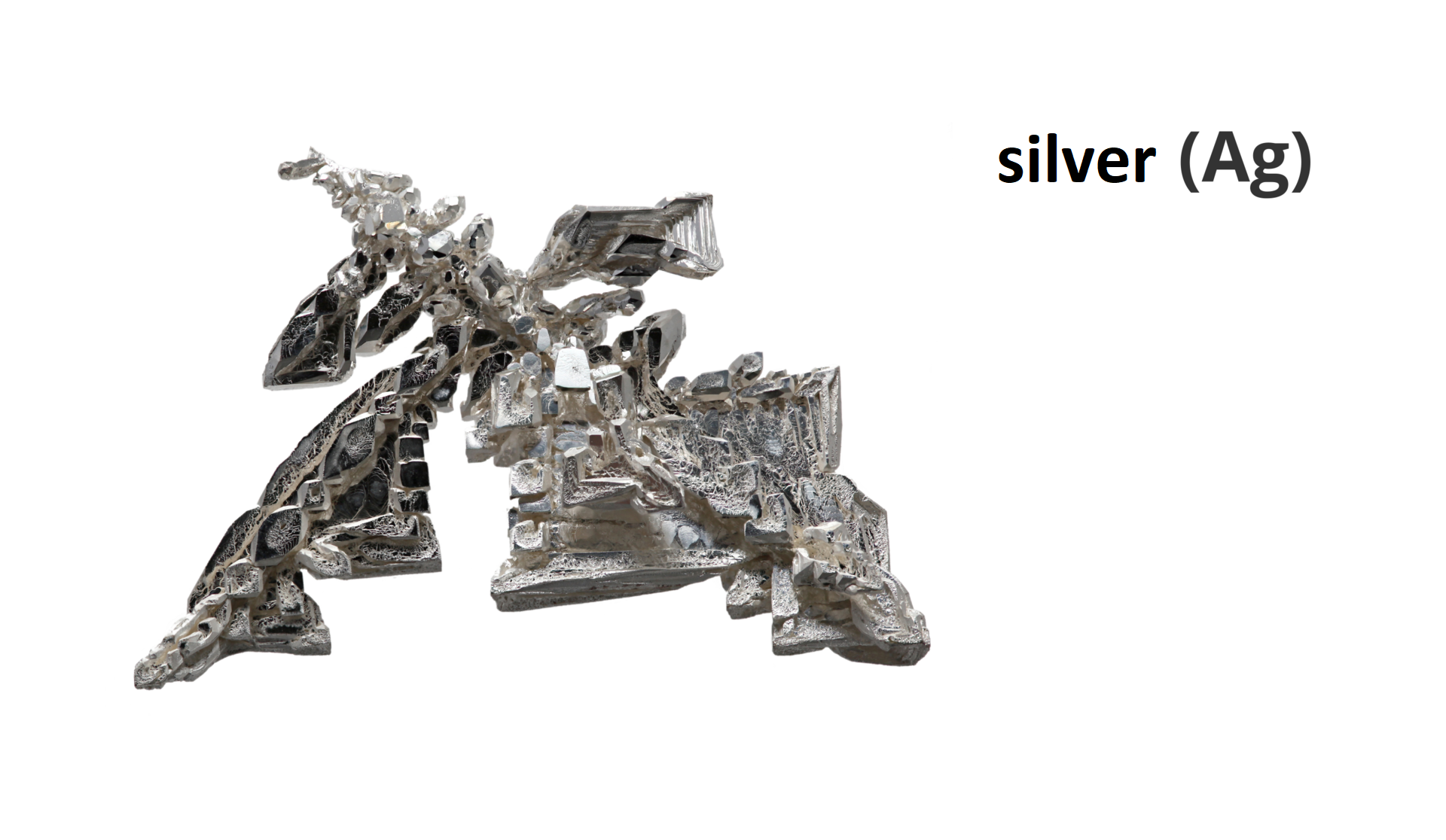 What kind of common features can you notice? The photograph shows a silver.